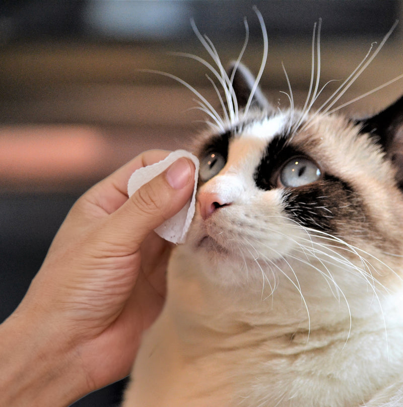 HICC Pet® Hypoallergenic Pet Eye Wipes For Cats
