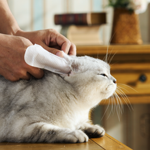 HICC Pet® Pet Ear Relief Finger Wipes For Cats