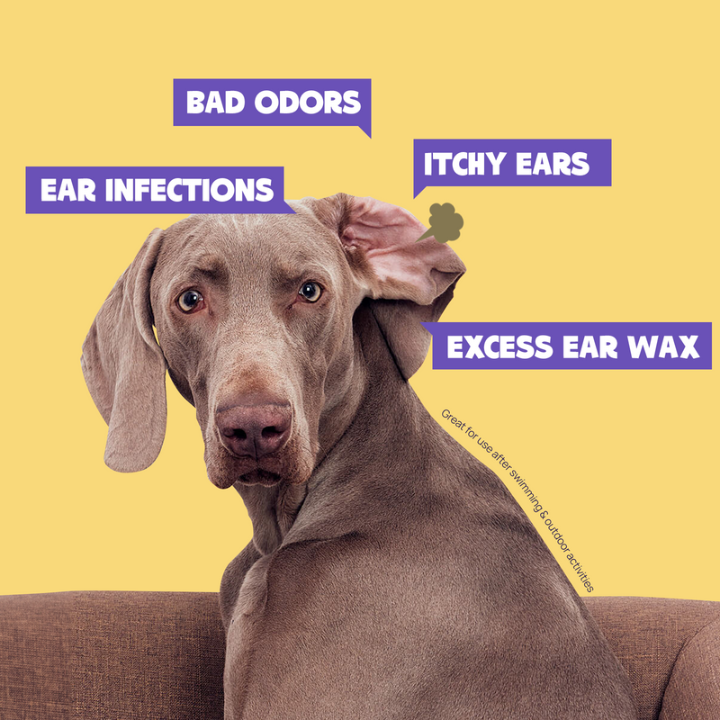 HICC Pet® Pet Ear Relief Finger Wipes For Dogs