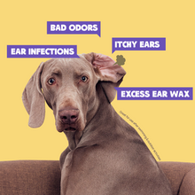 HICC Pet® Pet Ear Relief Finger Wipes For Dogs