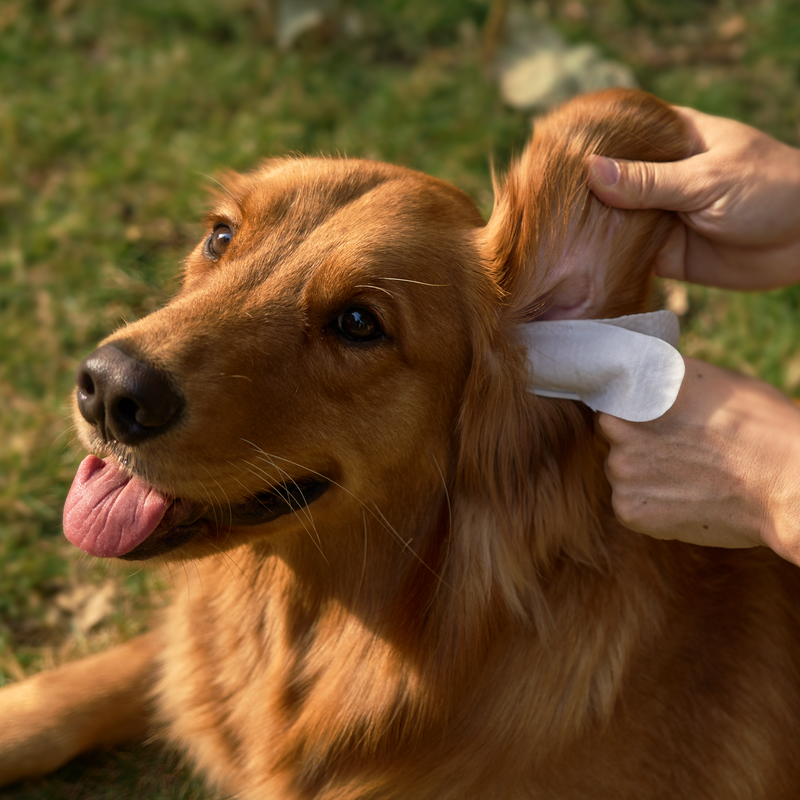 HICC Pet® Pet Ear Relief Finger Wipes For Dogs