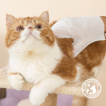 HICC Pet® Deodorizing Pet Glove Wipes For Cats