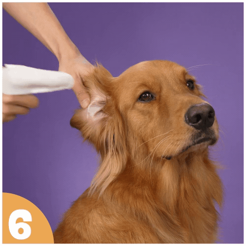 How to use