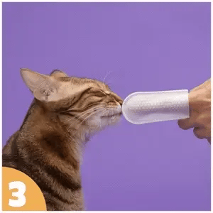 How to use