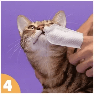 How to use