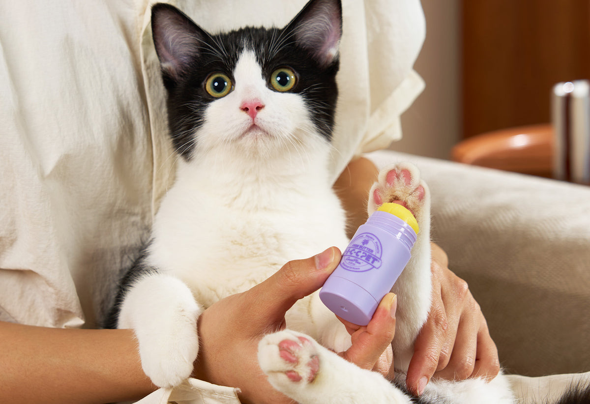 Image 77: For Cats