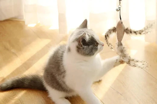 DIY For Your Pet - Cat Stick Toy | Hiccpet