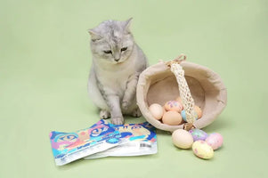 8 Cat Easter Basket Gift Ideas You Will Love | Hiccpet