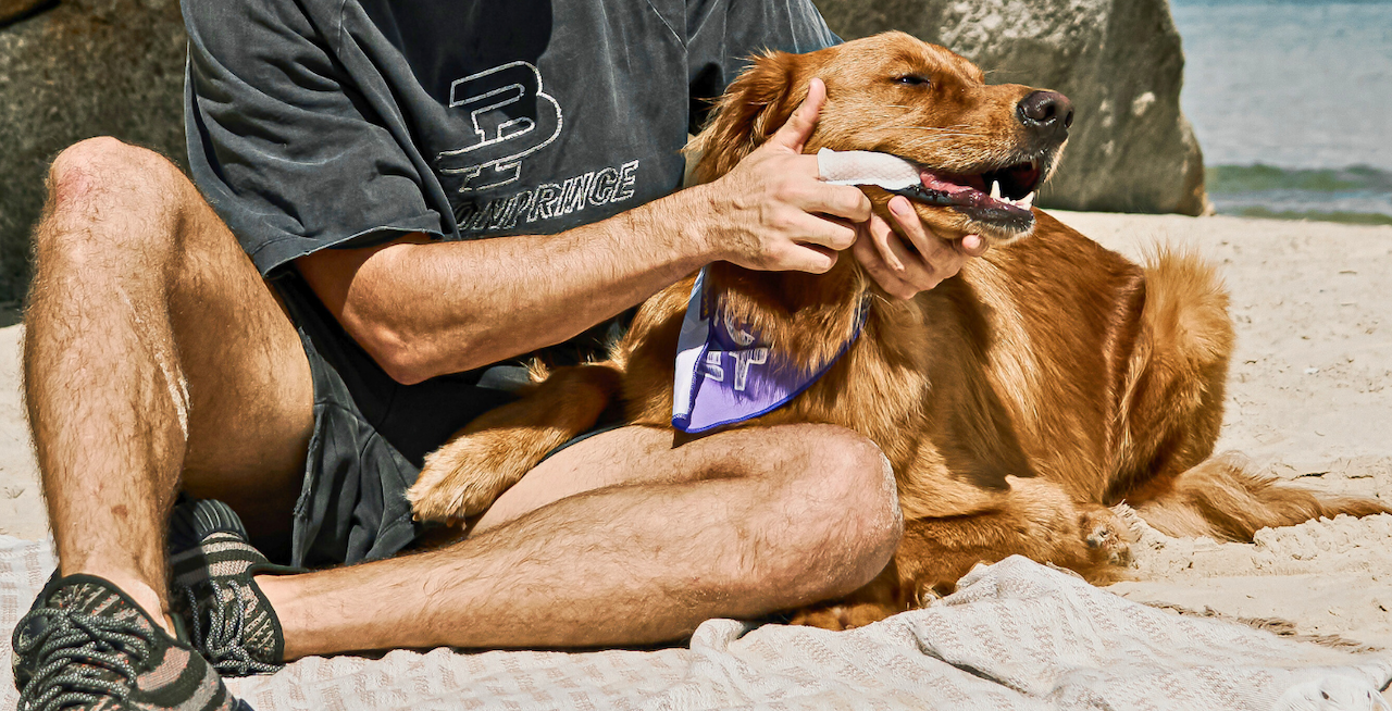 How to Keep Your Dog’s Breath Smelling Fresh Everyday