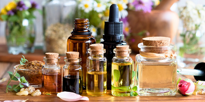 5 Beneficial Essential Oils for Pets: A Natural Solution for Pet Wellness