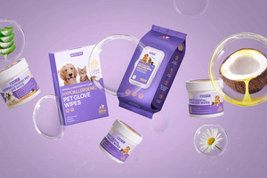hicc pet grooming products on a purple background with floating coconuts, flowers and bubbles