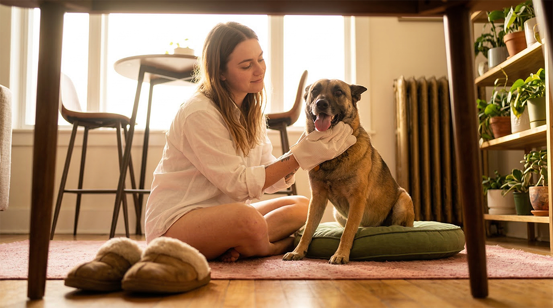 pet glove wipes grooming