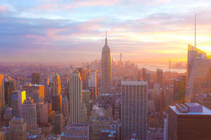 Aerial view of New York City with dog-friendly places to visit 