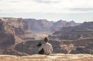 how to prepare for travel with pets