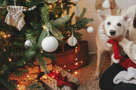 christmas checklist for pets