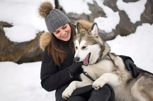 winter care tips for pets