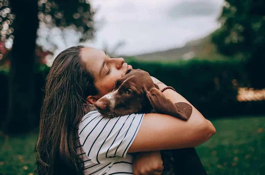 How to Eliminate and Manage Dog Odors