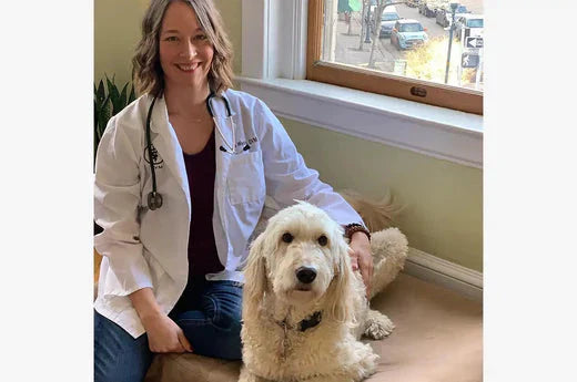 Dr. Wooten - Introduction to the functions of HOCI - Hiccpet