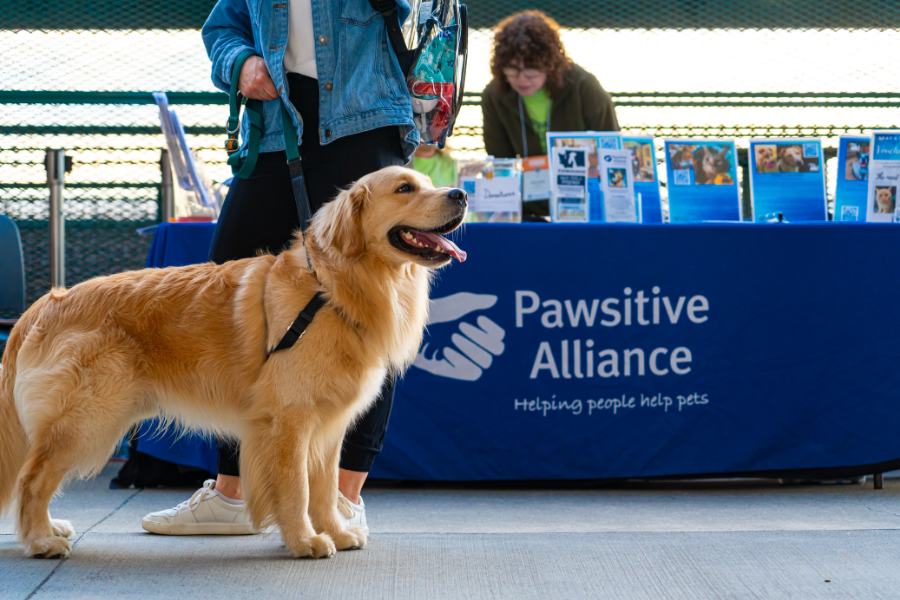 HICC Pet® Joins Forces with Pawsitive Alliance to Combat Pet Overpopulation in Washington State