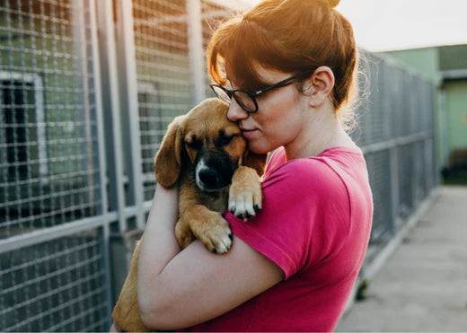 13 Amazing Benefits of Adopting a Pet From a Shelter
