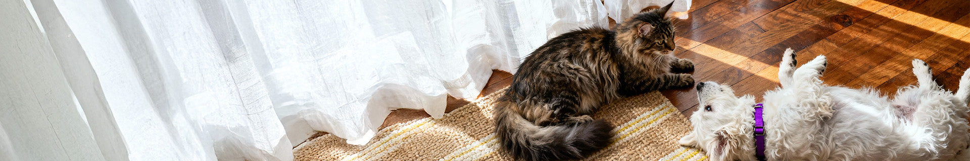 Bundles & Kits - Complete Care Solutions for Your Pet