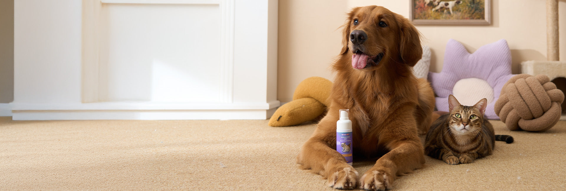 Freshens Tough Odors. Gentle Hygiene Care.