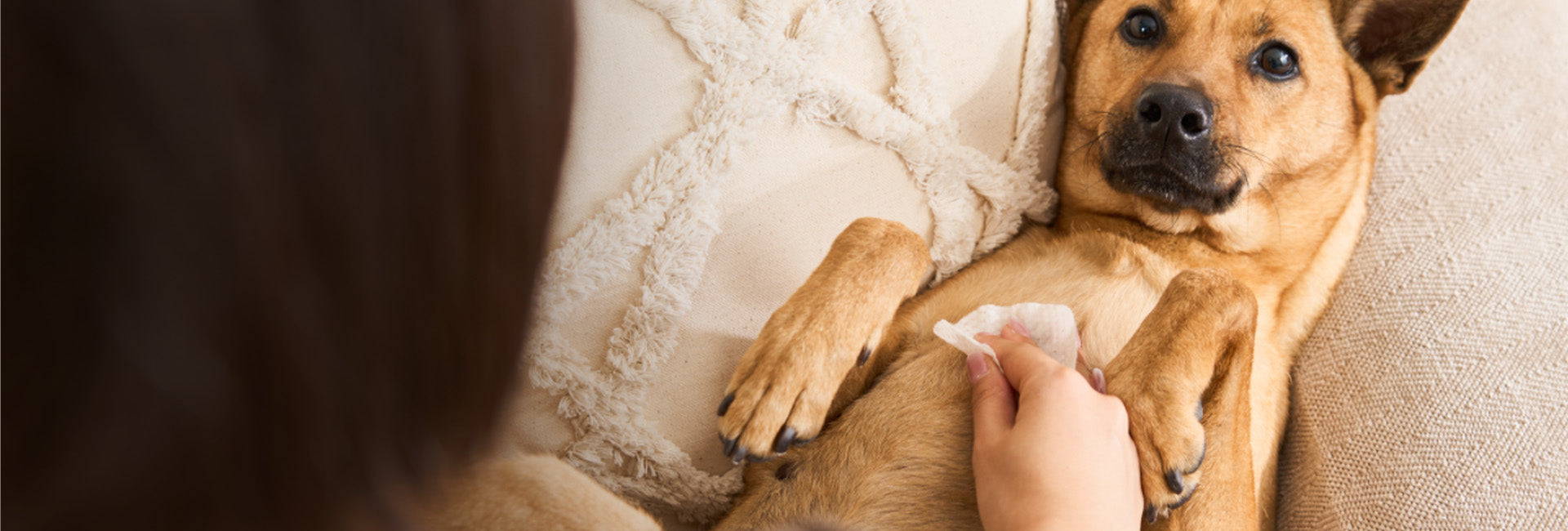 Fast Comfort for Sensitive Skin