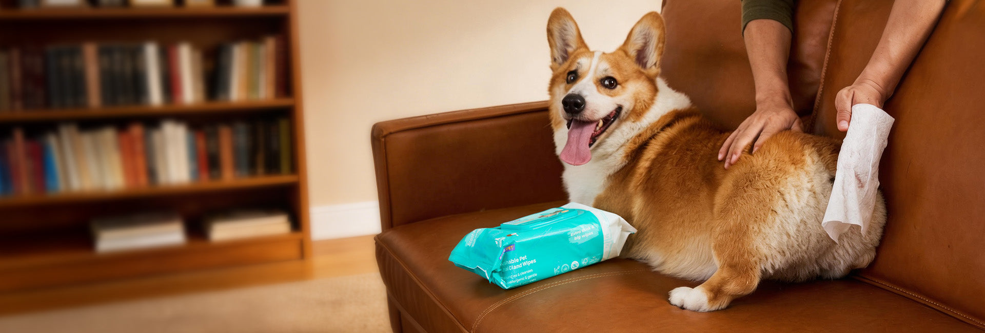 Turn Messy Cleanups into a Comforting Routine