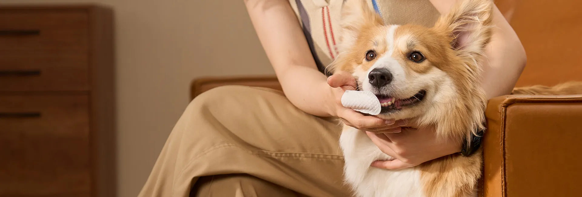 Daily Oral Care, Made Easy