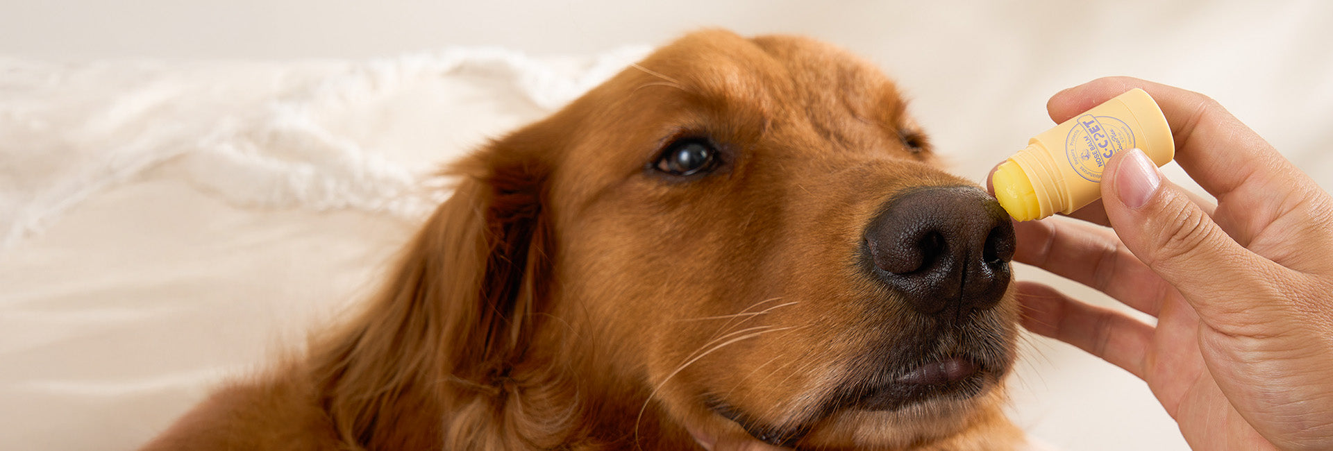 Instant Comfort for Dry, Rough Noses