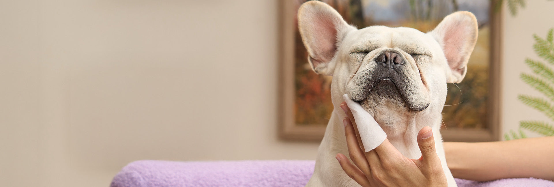 Gently Cleanses Deep Skin Folds