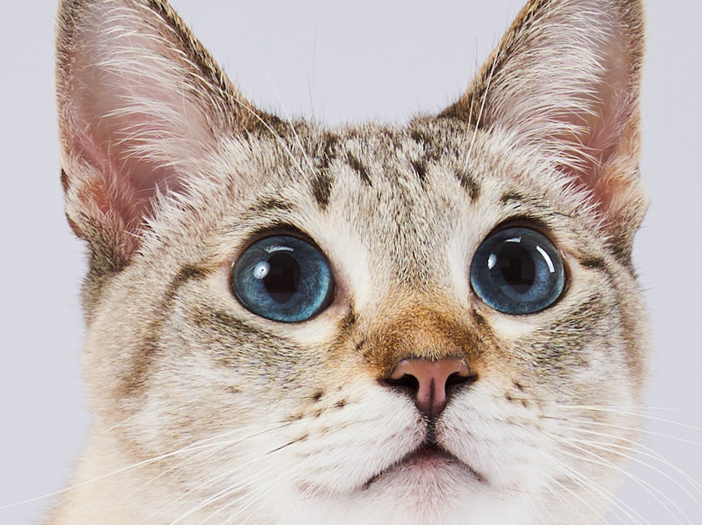 Sensitive Under-Eye Skin