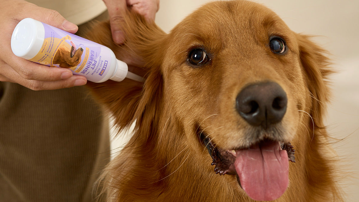 A Refreshing Clean for the Outer Ear