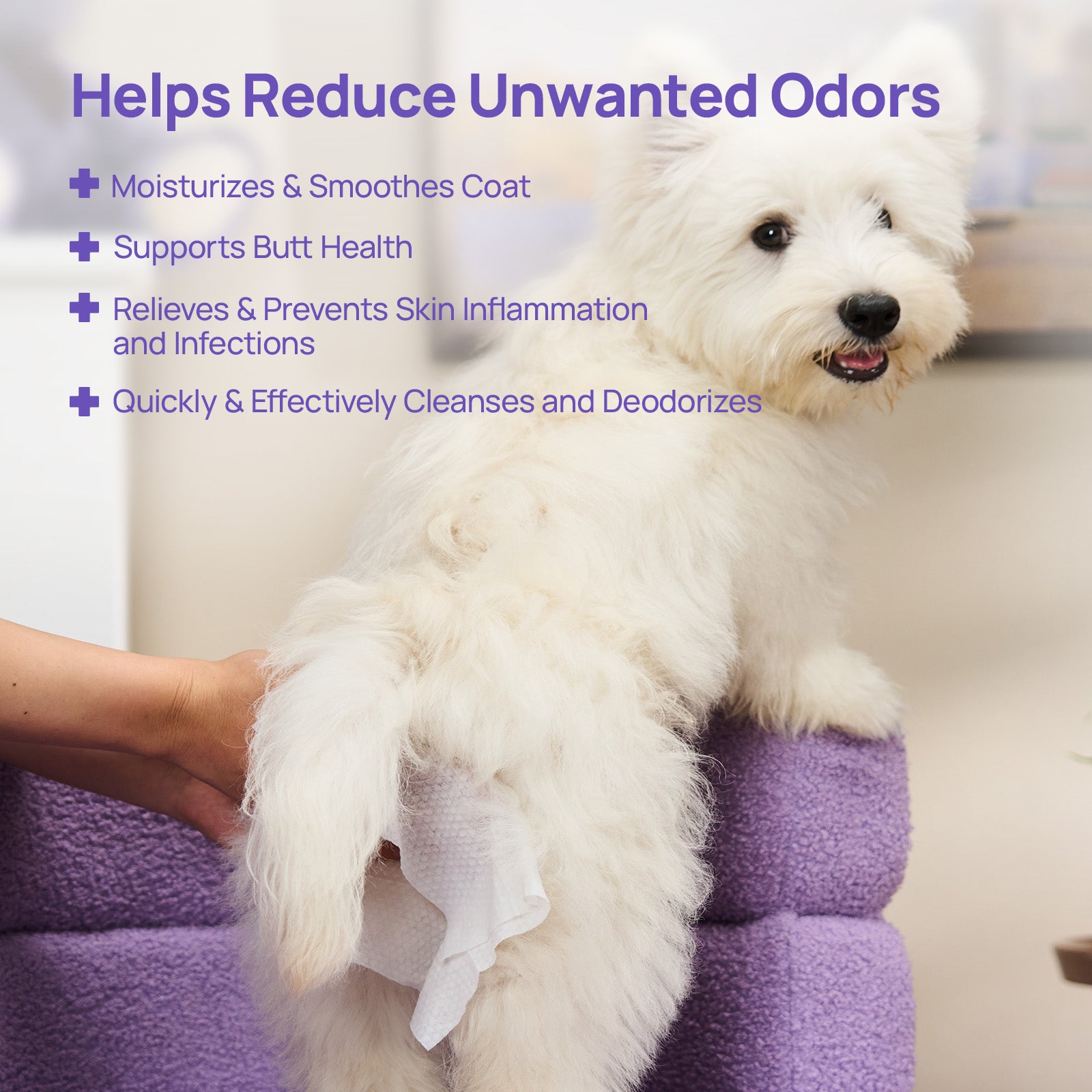 All-Purpose Pet Grooming Wipes (Sensitive Area Safe)