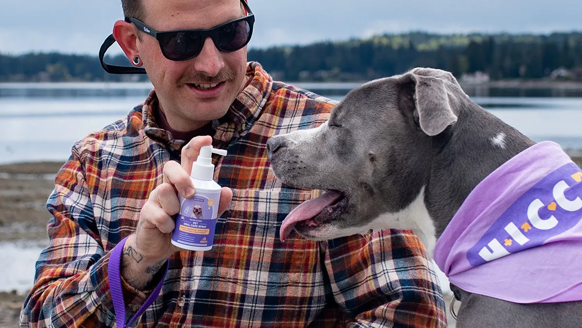 Made for a simpler daily routine