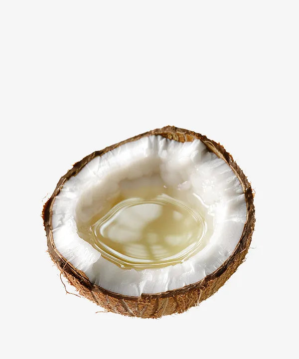 Organic Coconut Oil