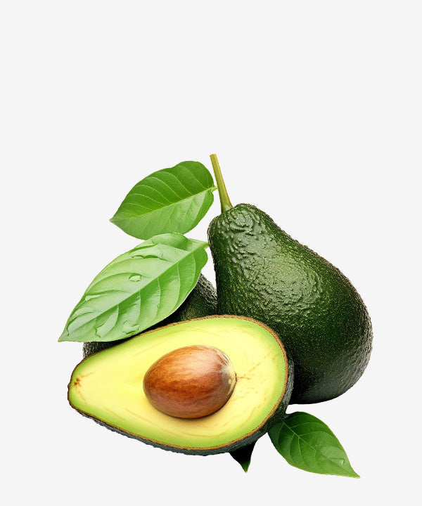 Avocado Oil