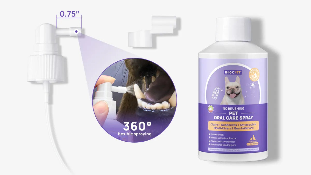 Easy nozzle reach for corners