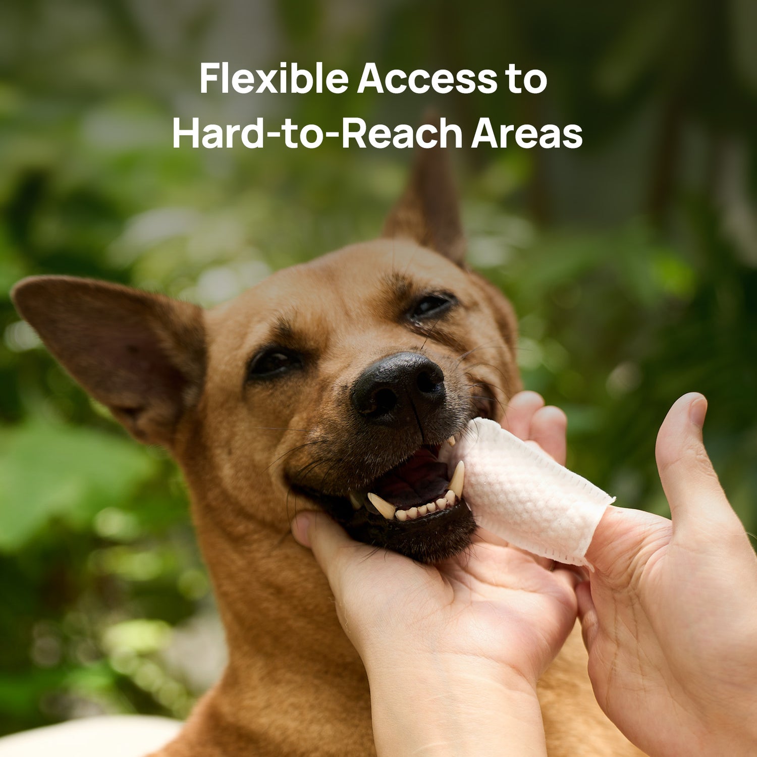 Gentle Daily Dental Finger Wipes For Dogs & Cats