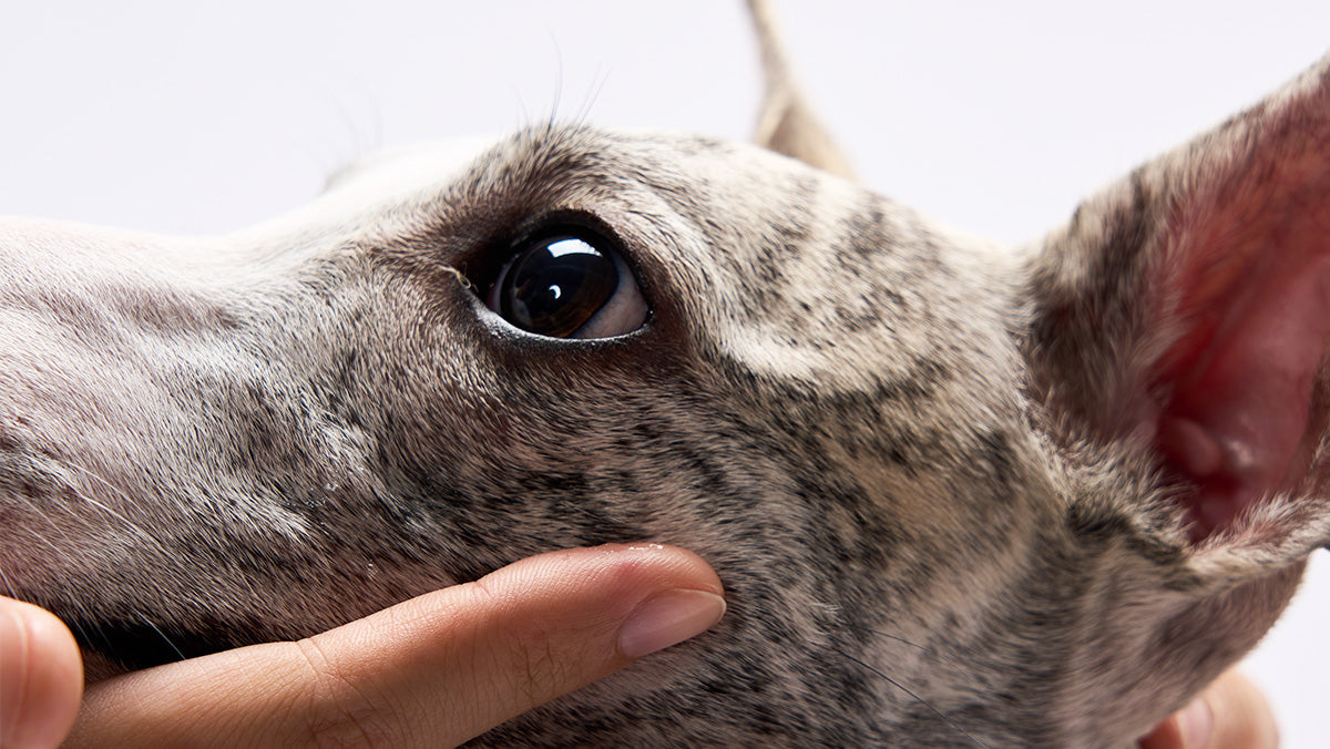 Lifts Stubborn Tear Stains.