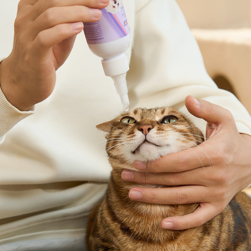 Eye Rinse