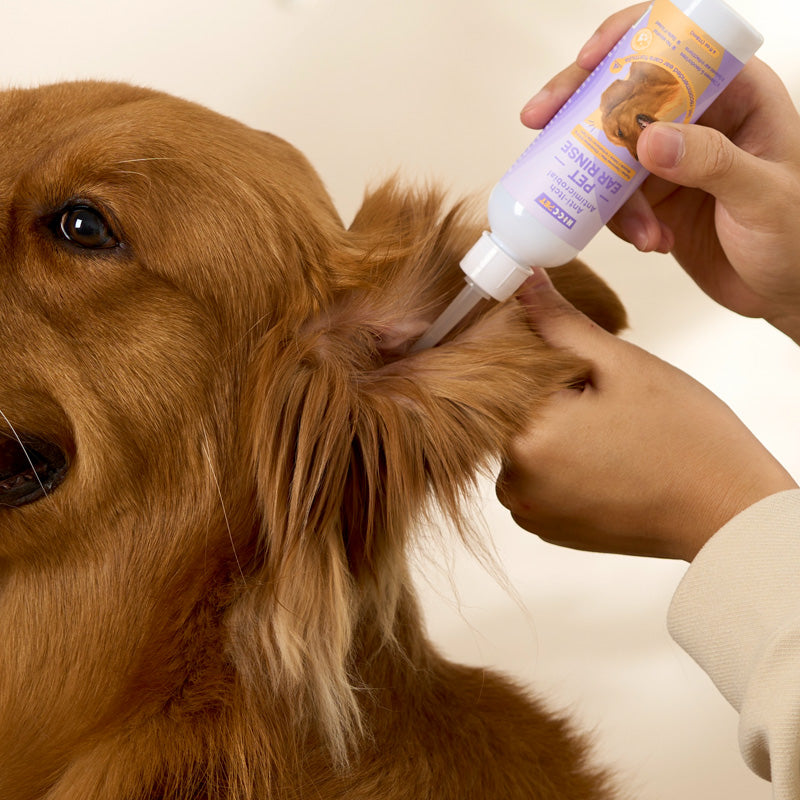Ear Rinse