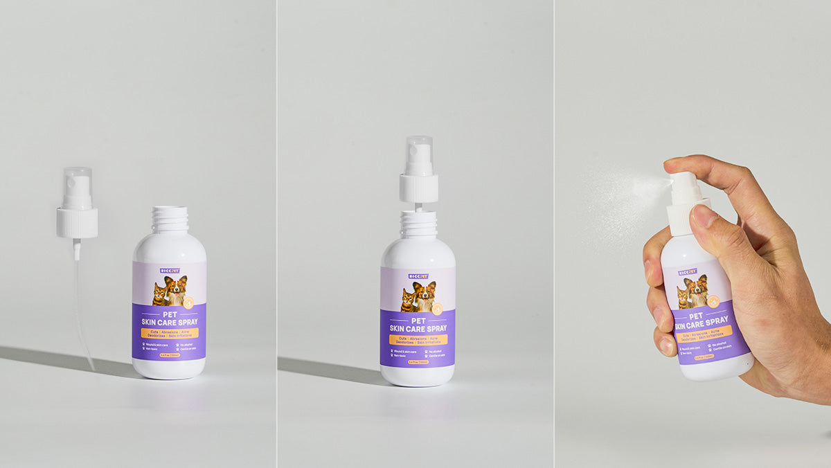 The No-Sting Experience.