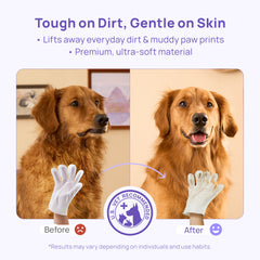 Hypoallergenic Pet Glove Wipes for Dogs & Cats