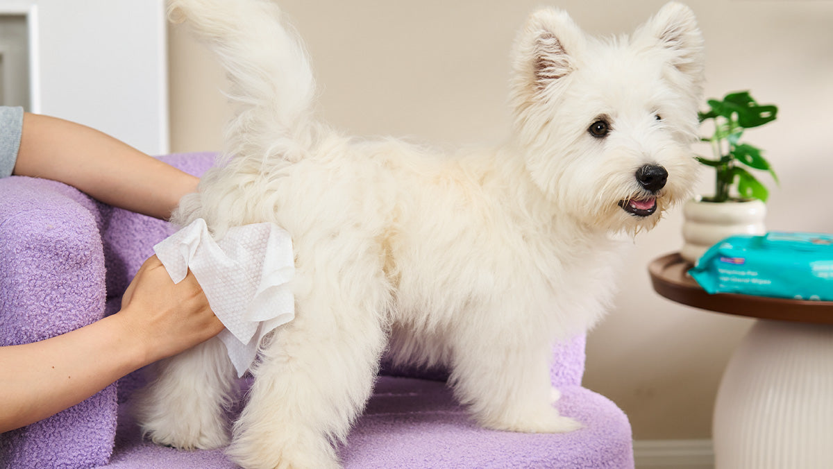Versatile Care for the Whole Body