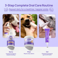 No-Brush Daily Oral Care & Breath Freshening Kit for Dogs & Cats