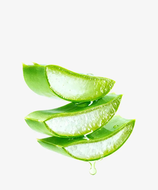 Aloe Vera Extract