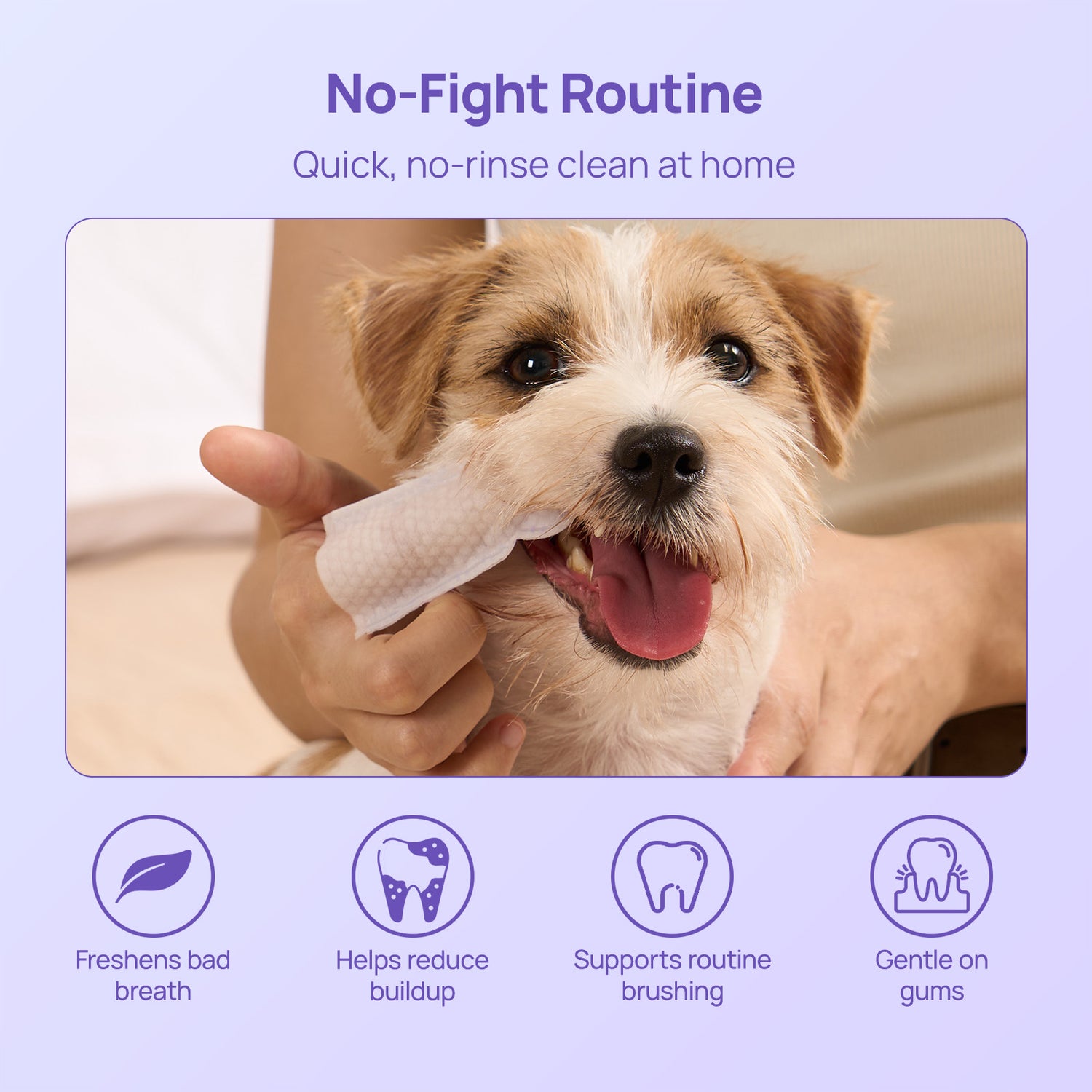 Dental Finger Wipes For Dogs & Cats, Large Size(L–XL Gloves)