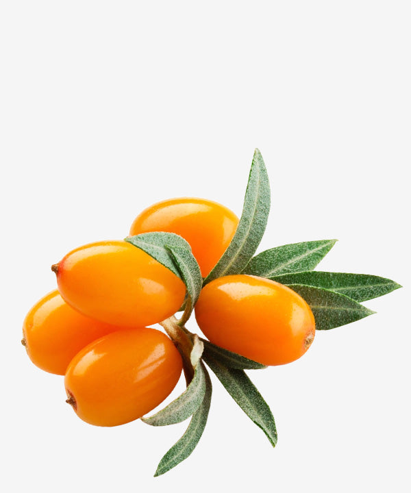 Sea Buckthorn Fruit Oil