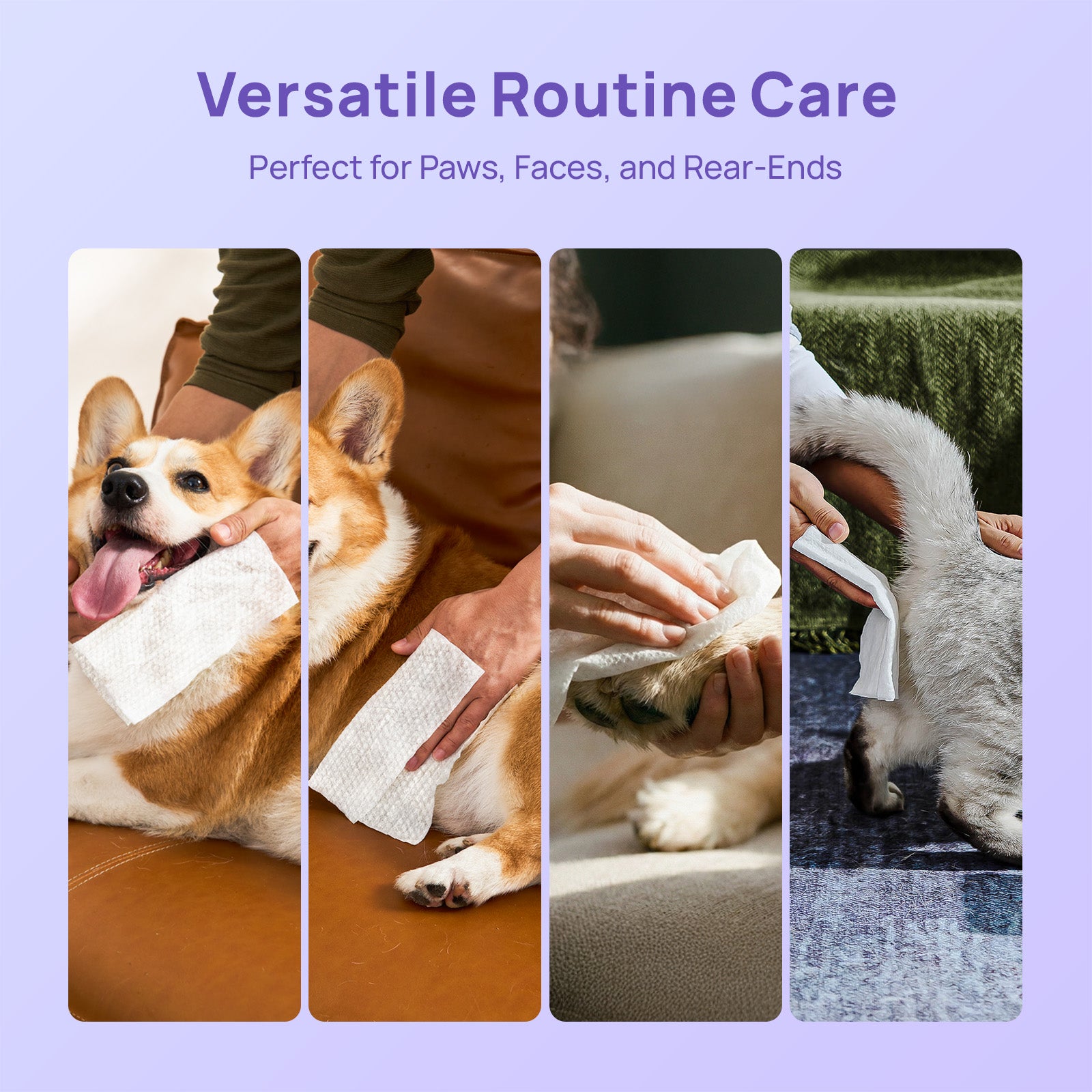 All-Purpose Pet Grooming Wipes (Sensitive Area Safe)